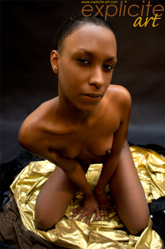 explicite-art/2304-camille-black_panther_debutante_first_time_nude/1.jpg